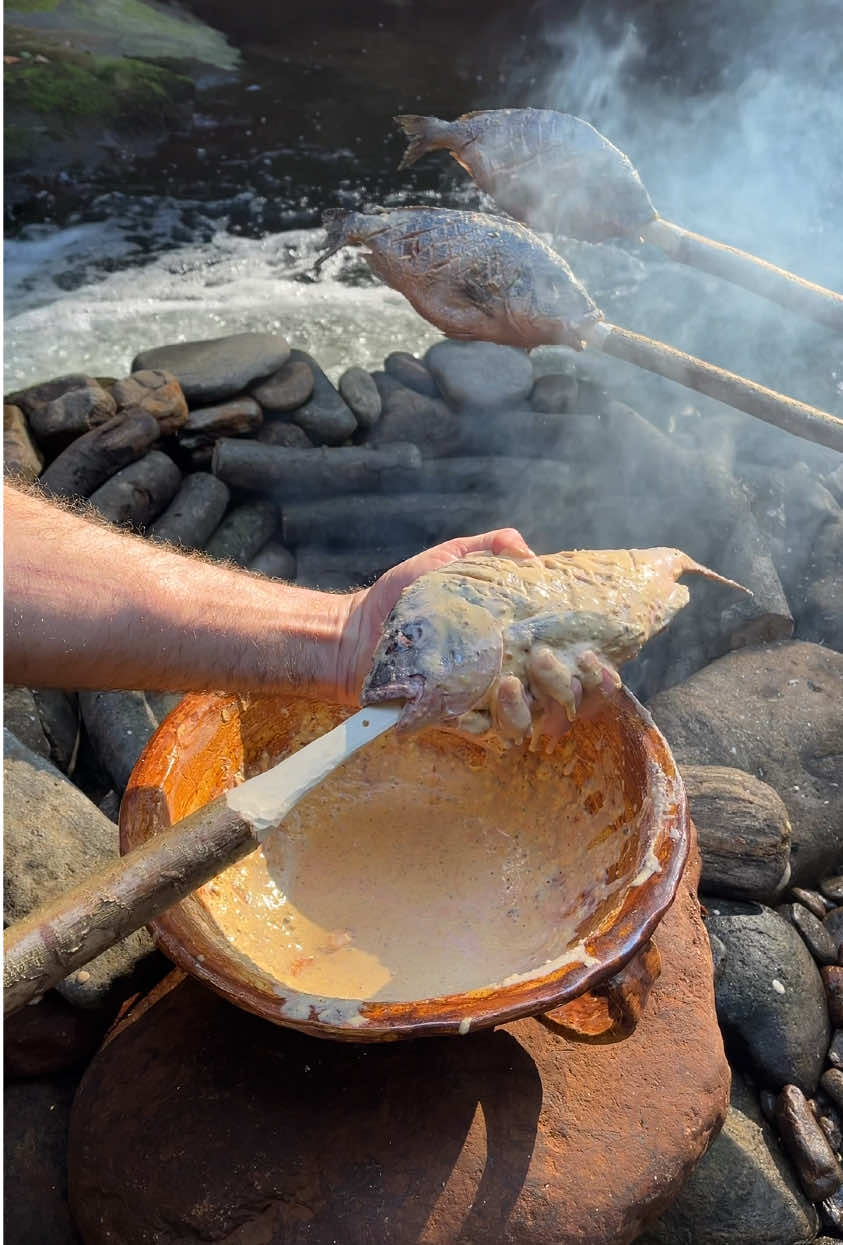 🇬🇧 | Would you treat yourself to some fire-roasted 🔥, incredibly tasty, juicy, and smoky-scented fish 🐟 with crispy golden potatoes and a garlicky-spicy 🧄🌶️ sauce? 🔥🫡 🇩🇪 | Würdest du dir diesen über dem Lagerfeuer 🔥 gebackenen, unglaublich leckeren, saftigen, aromatischen und vom Rauch durchzogenen Fisch 🐟 mit knusprigen goldenen Kartoffeln und einer würzig-knoblauchigen 🧄🌶️ Soße gönnen? 🔥🫡 🇷🇺 | Ты бы полакомился запечённой над костром 🔥, невероятно вкусной, сочной, ароматной и пропитанной дымком рыбой 🐟 с хрустящей золотистой картошкой и чесночно-острым 🧄🌶️ соусом? 🔥🫡 🔪🔪 The best universal knives from @The Nikos Knife (Ad) 🔥🫡 #outdoorcooking #foodvideo #wilderness #asmr #fish