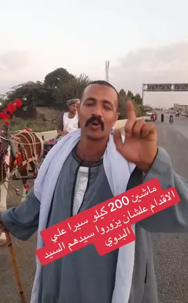 #مصر 