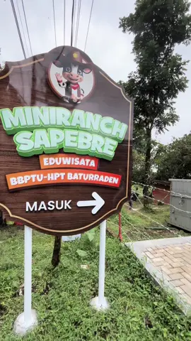 #baturaden #baturadenpurwokerto #miniranchsapebre #odongodong #bbptuhptbaturraden 