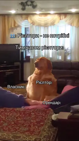 Ми з Вами на кожному кроку 😁#balena_рієлтор #орендаквартиркиїв #нерухомість #оренда #рієлтор 