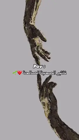 #صديقتي #حمدالله #استغفرالله #انشاء_الله_يعجبكم_الفيديو🥺💜 #متابعه_ولايك_واكسبلور_احبكم 