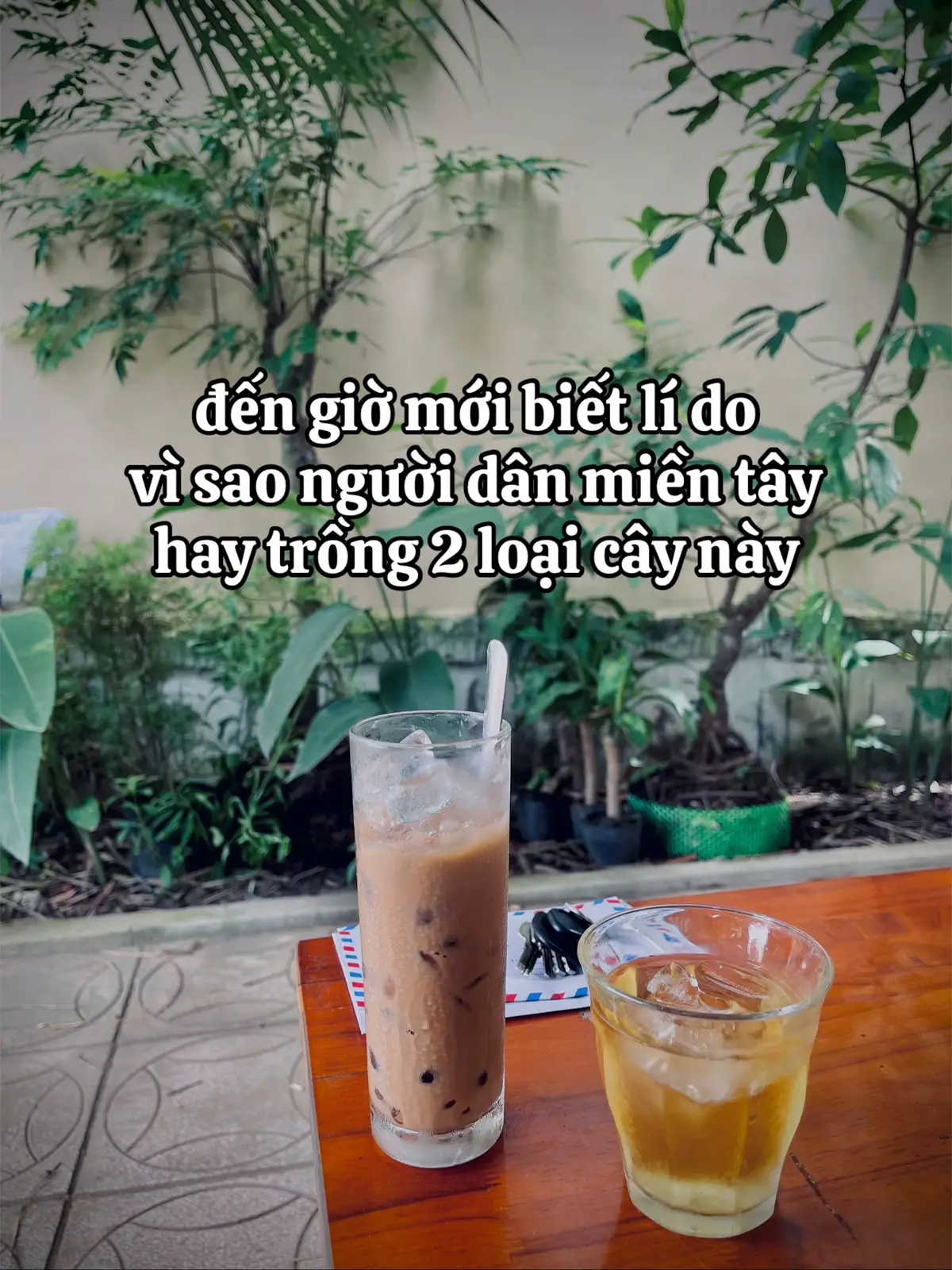 phải không ace miền tây #xuhuong #mientay #ilovetiktok #viral #fyp 