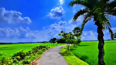 এই গানের মধ্যে কি এমন আছে ভিডিও ছাড়লেই ভাইরাল হচ্ছে 😧 #viral_video_tiktok #anfeezemyaccont #fyp #foryoupageofficiall ##trending 