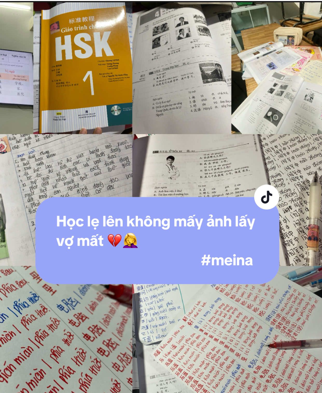 Học gì chưa em🤦‍♀️💔 || ụa e học trước quên sau ạ =))) ||  #tiengtrung #hanyu #pangbowenliujialiang #willing_grp  Ib???? 