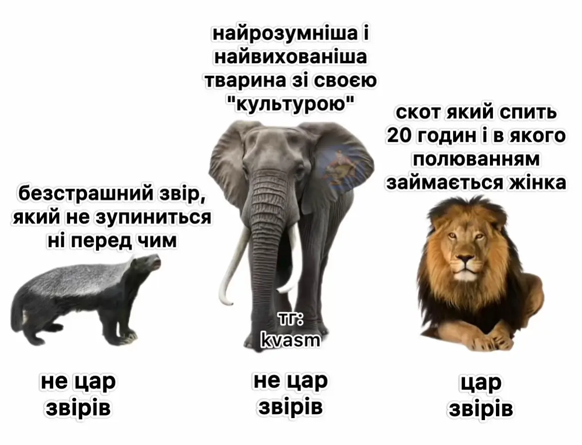#укртікток#укртікток🇺🇦#тіктокукраїна#меми#рекомендації 