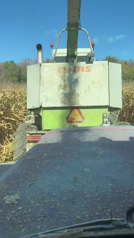 Coldy doing big boy things #farmtok #farm #farmlife #corn#harvest 