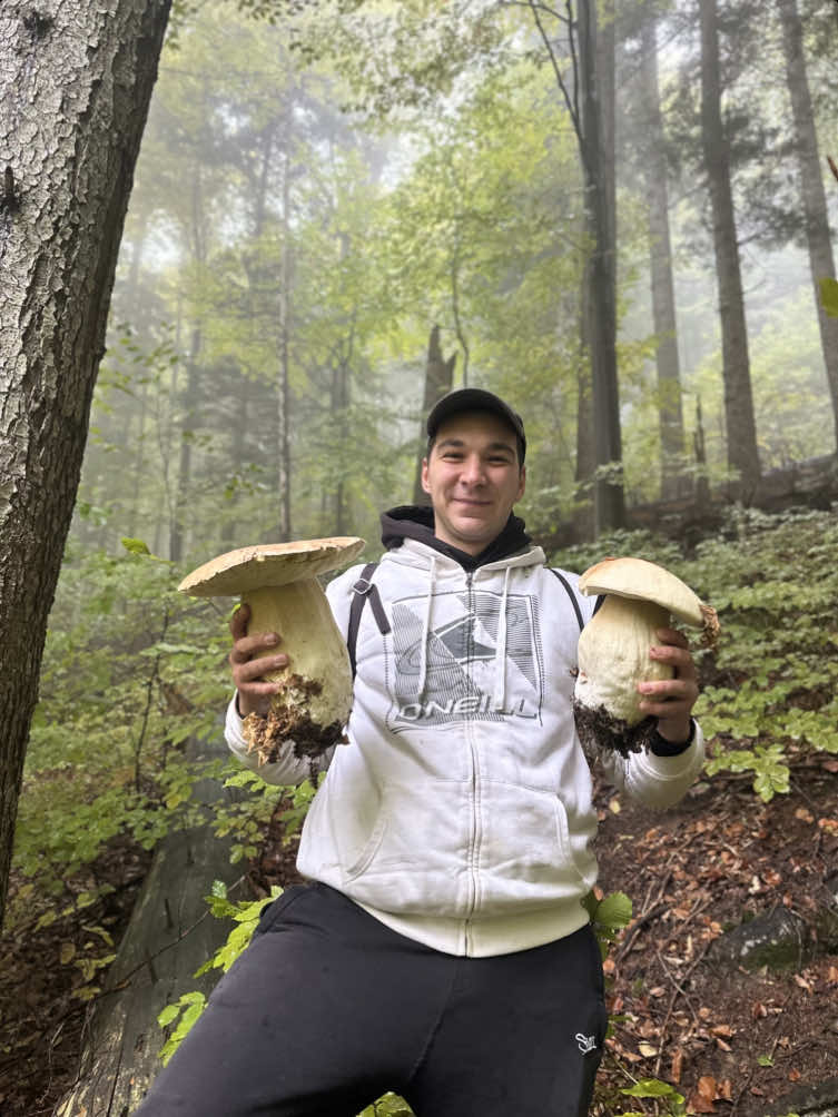 Село Майдан, Дрогобицький район.  11.10.2025   #гриби #гриби2025 