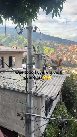 #paratii #seguidores #fyp #medellín #lacomuna13medellin_colombia🇨🇴 