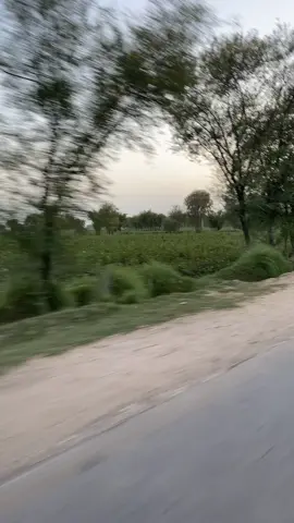 Balochi trending song  please repost my video plz 