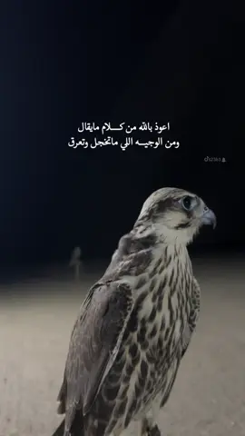 #ترندات_تيك_توك #s23b3 #اكسبلور #لشاعرها #قصايد_شعر_خواطر 