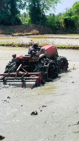 වගල් 😁  #kubotal4508 #viralvideo #kubota_tractor #fyppppppppppppppppppppppp #100k 