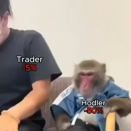 Hellp me #tariftrump #bearmarket #memecrypto #cryptolucu #crypto 