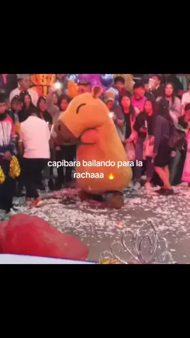 para activar nuestra rachita 🔥 #larachaaaaaaaaaa🔥  #virallllllllllllllllllllllllll #capybara  #danzafolklorica  . .   . . . . . @axxbel_2 
