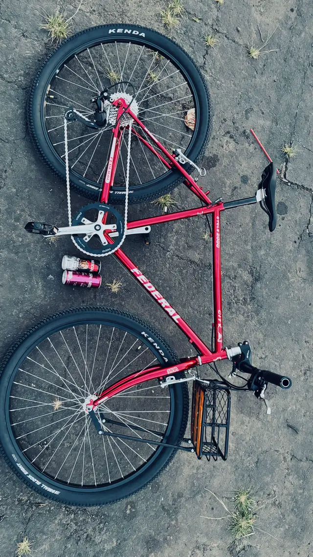 pesonaa red candy🤙🏻😋 #commuterbike #sepedafederal  #federal #demam26 