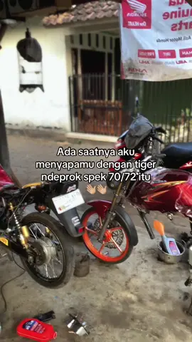 #tigergank #masukberanda #xybca 