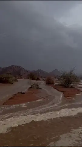 ‏العلا ‏تبوك ‏ حايل