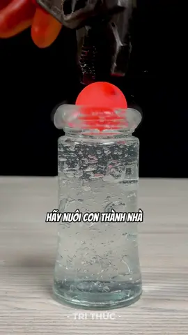 Hãy dạy con trở thành nhà lãnh đạo chứ đừng làm kẻ phục tùng #phattrienbanthan #trithuc #concai #chame 