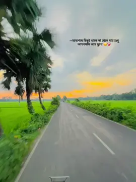 --অবশেষে কিছুই থাকে না থেকে যায় শুধু আফসোস আর দুঃখ 😊❤️‍🩹