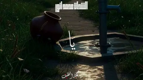 العُمده ☝️❤️❤️❤️❤️ . #قران #quran #قرأن #الشحات_محمد_أنور #الشيخ_الشحات_محمد_انور 