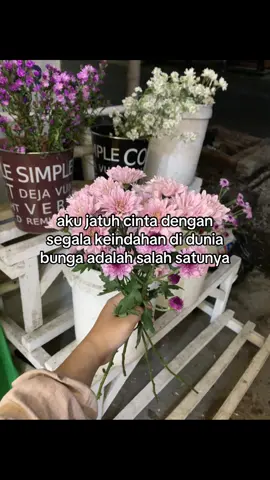 keindahan yang sederhana🤍 📍 on g.maps : nayyaraflorist 1  #freshflower #freshflowergenteng #floristgentengbwi #buketbunga #fyp