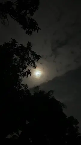 ফেরাতে পারিনি আমি পারিনি তোমার হতে...!😌❤️‍🩹   #fyp #foryou #moon_lover_29 #videography #moon 