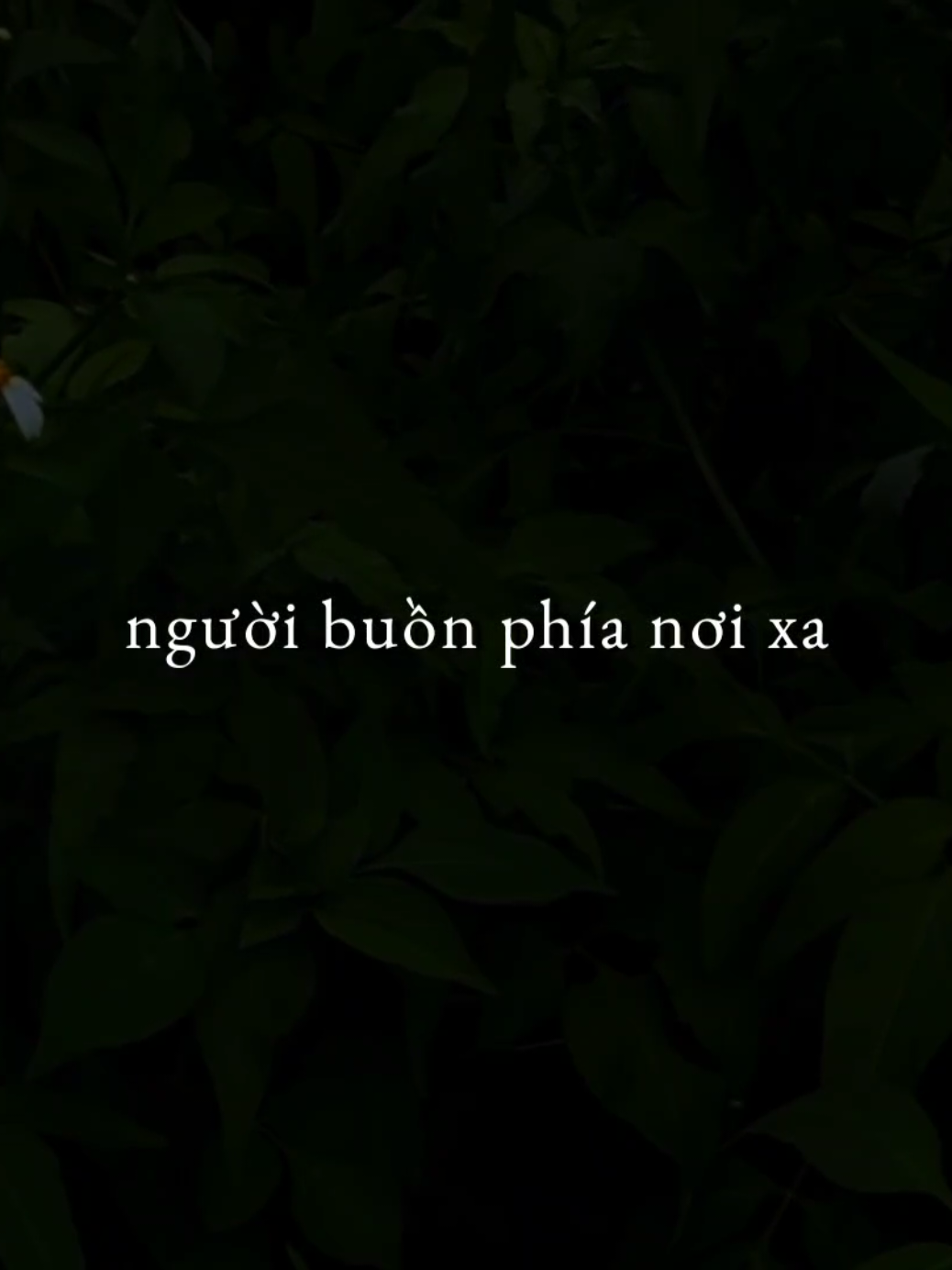 Cuộc đời là mấy khi❤️‍🩹...