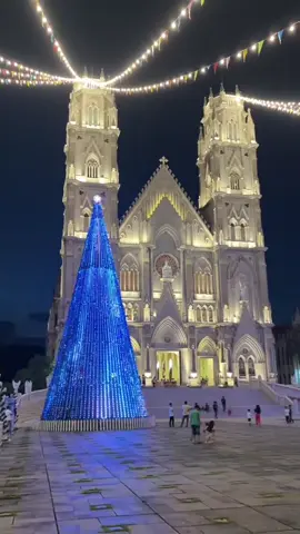 Tớ muốn lan toả sự nôn Noel này đến với các bạn 🌲#merrychristmas #huynhdong_music #nhathosongvinh #giaoxusongvinh #songvinh 