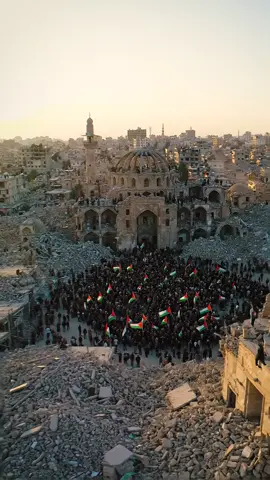 Free Palestine 🇵🇸 #freepalestine #palestineprotest #standwithpalestine #foryou #foryoupage 