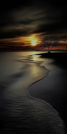 #الشيخ_محمد_سيد_حاج_رحمه_الله #قص مؤثره جدآ ثلاث اخوان عنهم اخت واحدة#😭😭😭 