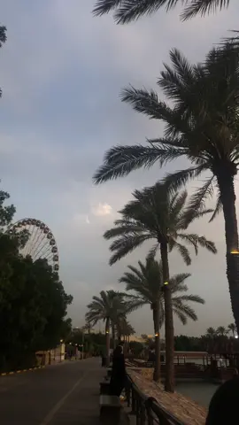 #bagdad_iraq🇮🇶 #سندباد_لاند 🪐🤎