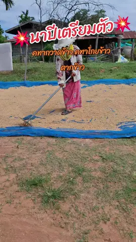 คทากวาดข้าว มีหลายแบบให้เลือก อุปกรณ์ตากข้าวชาวนา ทน แข็งแรง ซื้อครั้งเดียวใช้ต่อยาวๆจ้า#คทากวาดข้าว #คทากวาดข้าวเปลือก #ข้าวเปลือก🌾🌾 #อุปกรณ์ตากข้าว 