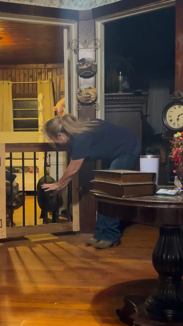 Before I can make a break for work, no matter the hour, I have to let the royal duo - king Wilbur and Piglet - back in, where they'll stand and beg and scope out my hands for snacks every time I walk by. Let's just say they get way more treats than the outdoor crew. It's ridiculously hard to resist those super cute longing eyes, so I cave and sneak them a few snacks before making a run for the door. I flash them my empty hands and make a dash. Show me your snack hogs. Lol. Any kind will do.