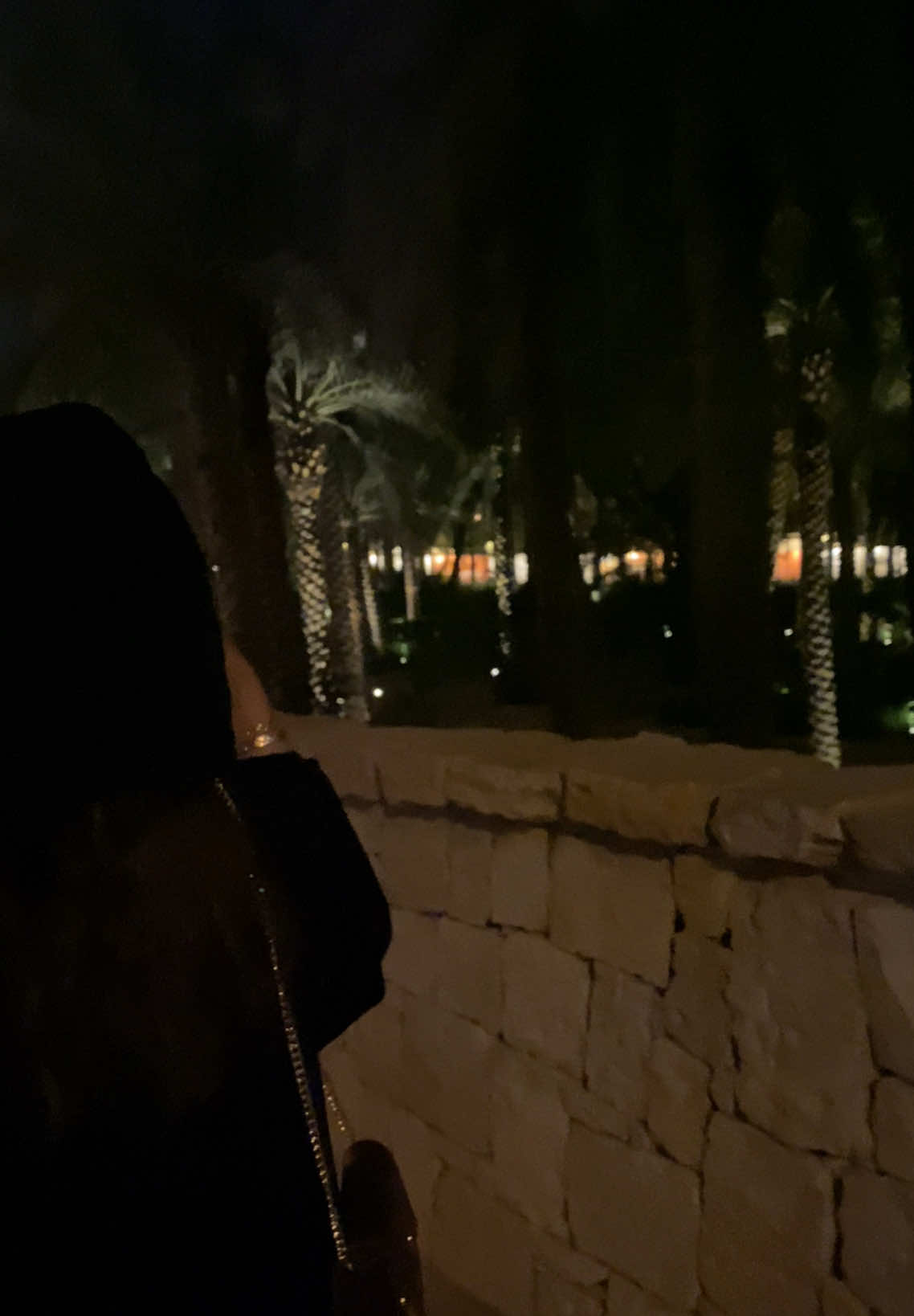 🤎🌴#diriyah #4u #fyp 