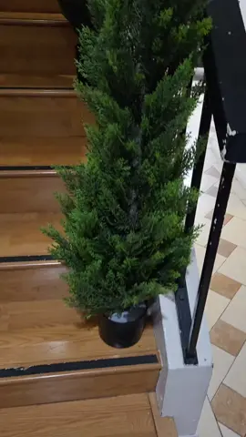 Set de 2 plantas artificiales de cedro y ciprés (3, 4 o 5 pies). Decoración realista para entrada, terraza o jardín. Perfectas para Navidad o todo el año. #HomeDecor #PlantasArtificiales #ChristmasDecor #Tik TokShopCreatorPicks #MarioMaganaTTS 3/4/5Ft 2pack Artificial Cedar And Cypress Wood Courtyard Front Porch Decoration Simulation Plants Boxwood Christmas xmas