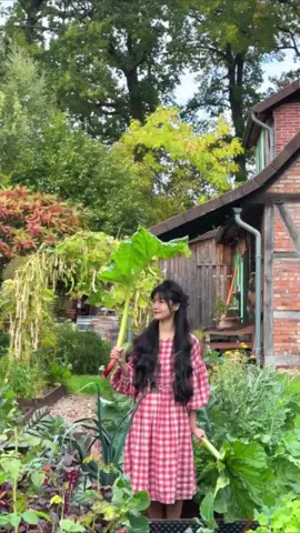 Autumn kitchen 🌿Time to make rhubarb peach cake 🍑 #countrysidelife 