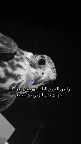 #منشنوا راعي العيون الناعسه😉#طـويق؟ #trend #محمد_عبده #السعوديه_الكويت 