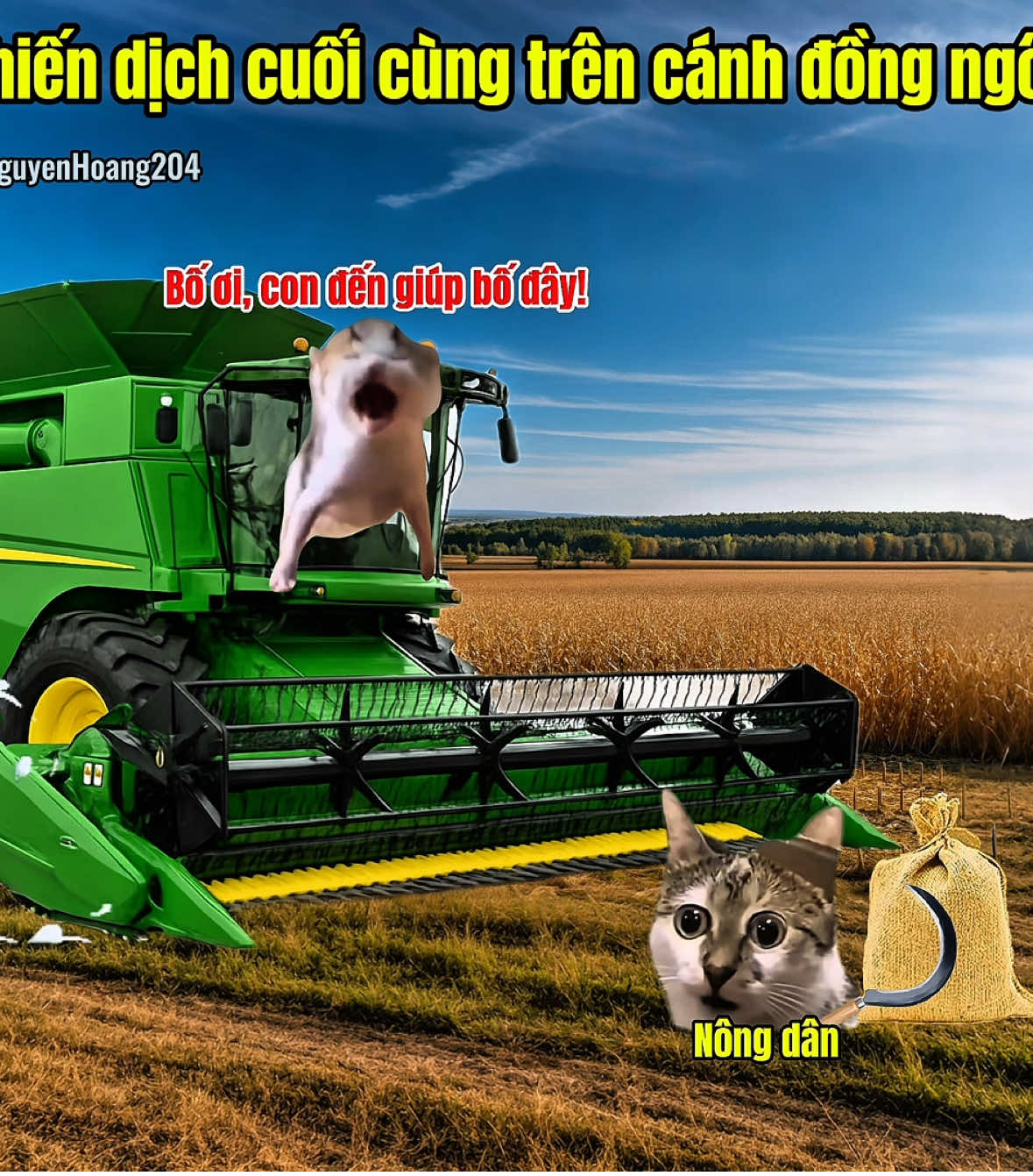 Chiến dịch cuối cùng trên cánh đồng ngô #meme #catmeme 