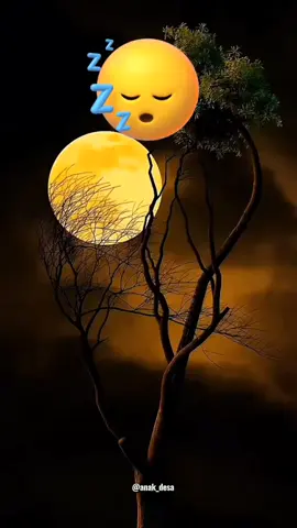 #qoutes #foryou #foryoupage #laguviral #CapCut 