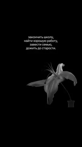 #рекомендации #вирт #чб 