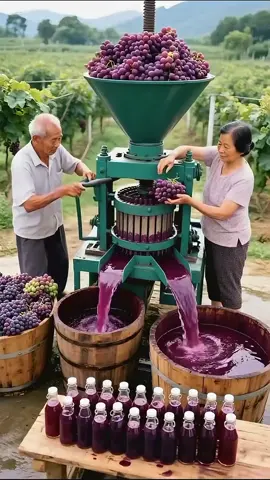 freshly grapes juice#viralvideo #usa #foryoupage 