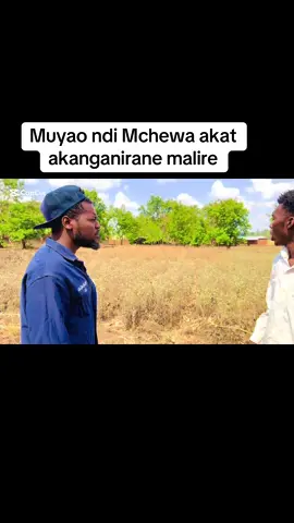 #malawiantiktok🇲🇼 #zimbabwetiktok🇿🇼🇿🇼🇿🇼🇿🇼 #zambiantiktok🇿🇲 #tanzaniatiktok #fyppppppppppppppppppppppp @Shabban S Mdala 👑 @francis mussah 