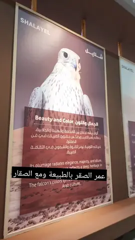 عمر الصقر العزابي