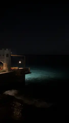 🌊🤍