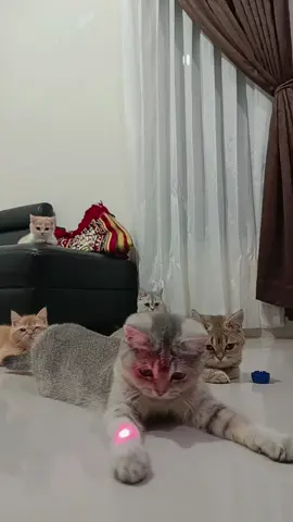 Santai sejenaak mereka.. #tiktoklive #livehighlights #trending #fyp 