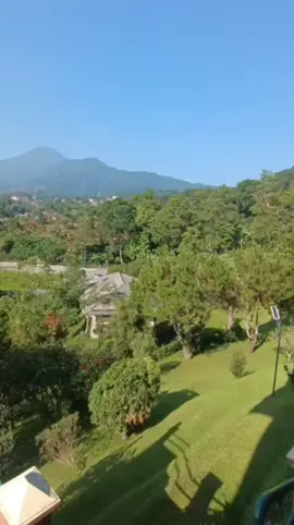 #puncakbukithijau #viraltiktok  