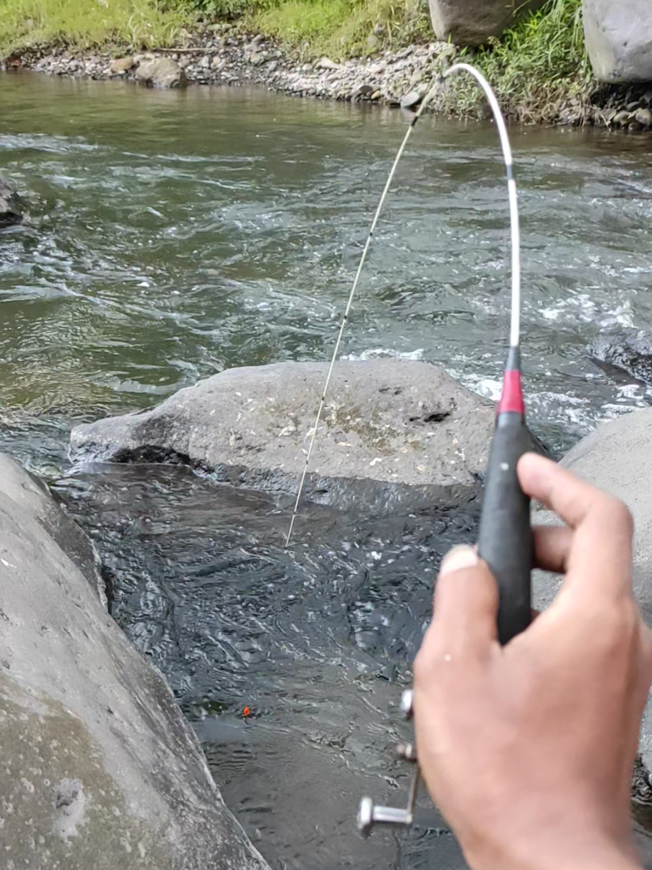 ora ekting iki😂#fyp #mancing #fishing #mancingmania #mancingmaniamantap 