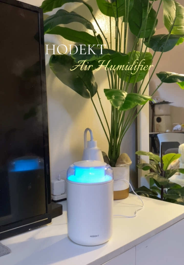 Hodekt air humidifier  #humidifier #airhumidifier #aromatherapy #aromatherapydiffuser #difuser 