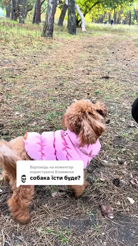 Відповідь користувачу @Взаимная 