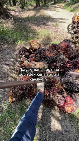 Aduh dek”🤦🏾‍♂️#kulisawit🌴🌴🌴 #petanisawit🌴 #sawitbapak🌴🌴 #petanimuda #fypppppppppppppppppppppppp 
