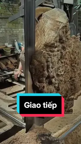 Càng lễ phép, càng bị xem thường #sachhay #trietlysong #trietlycuocsong #baihoccuocsong #moctrivuong 
